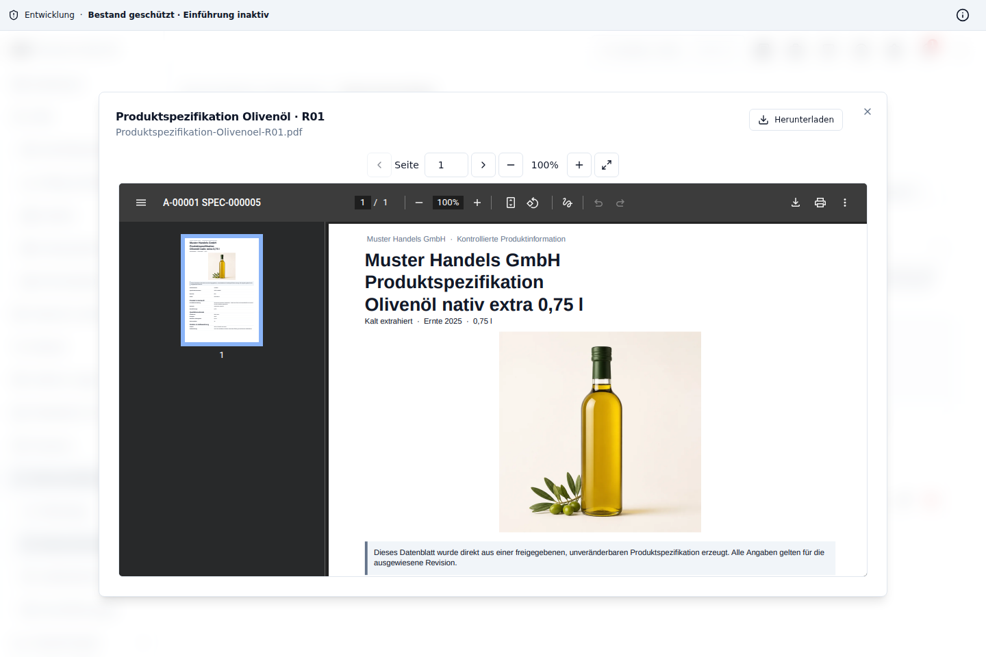 Dokumentenvorschau im ERP-DMS